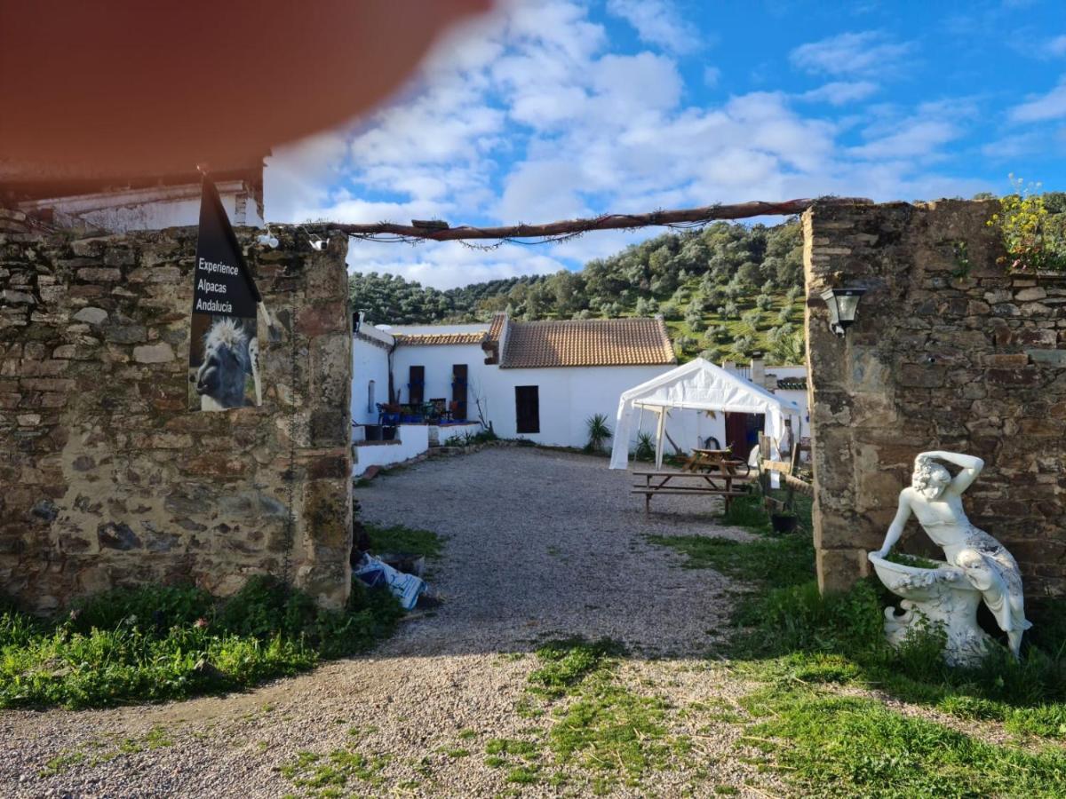コルドバExperience Alpacas In Andaluciaアパートメント エクステリア 写真