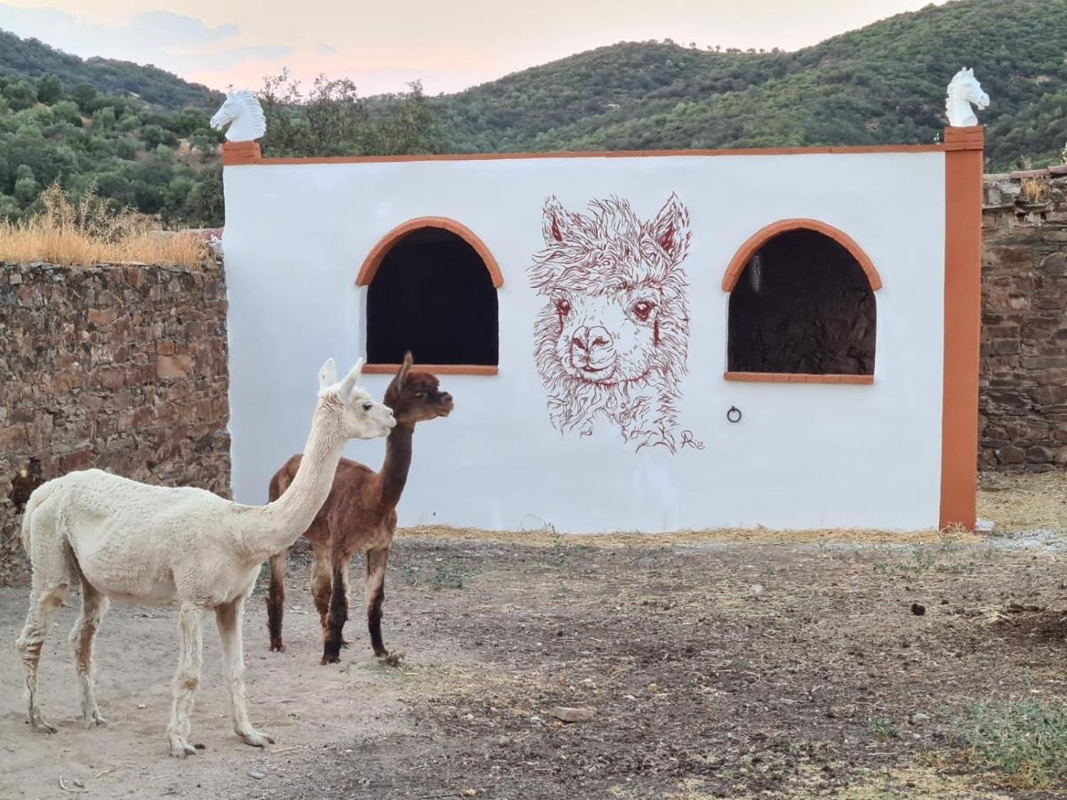 コルドバExperience Alpacas In Andaluciaアパートメント エクステリア 写真