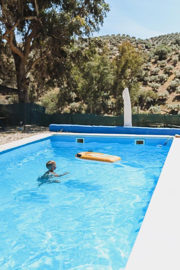 コルドバExperience Alpacas In Andaluciaアパートメント エクステリア 写真