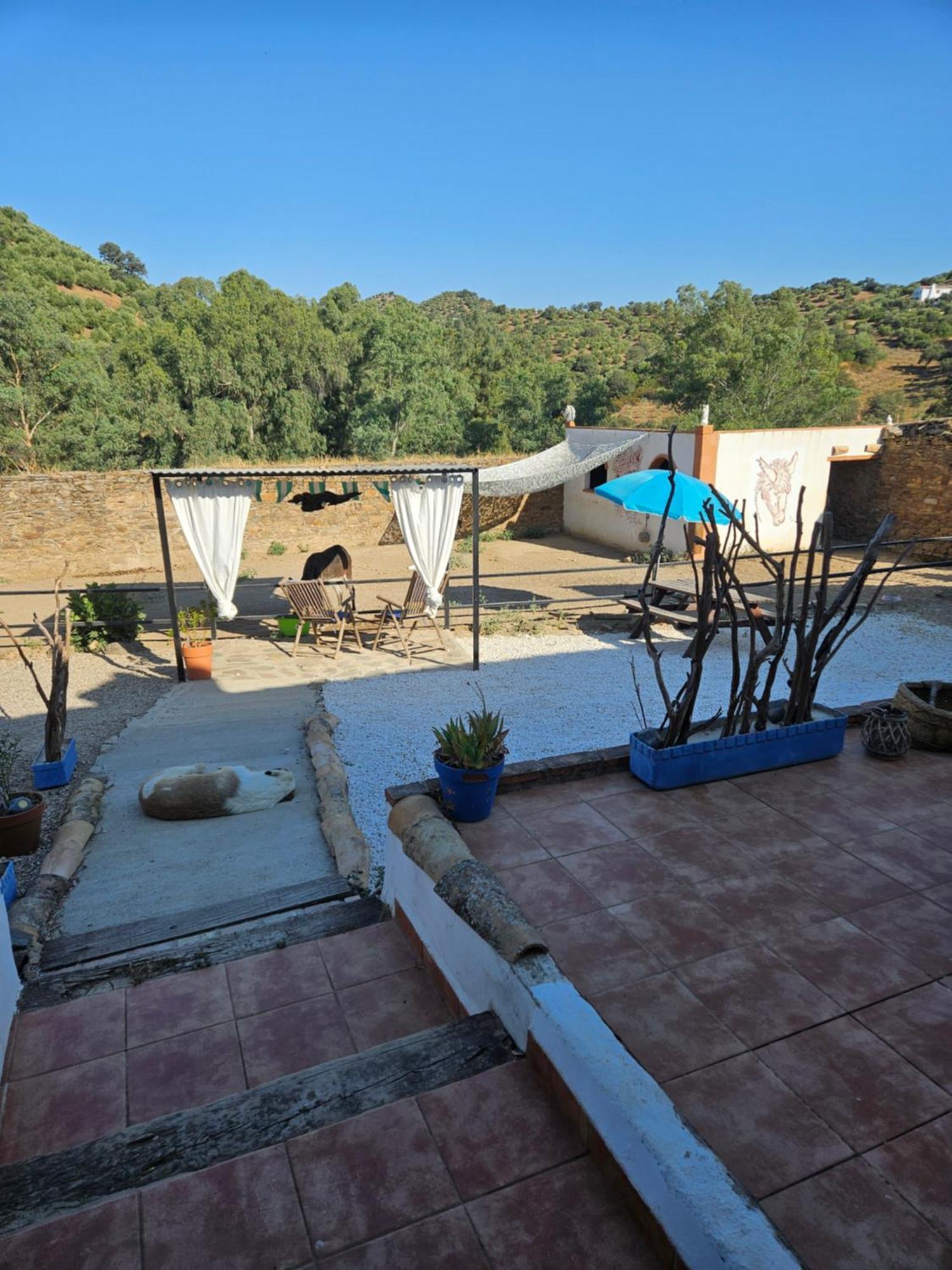 コルドバExperience Alpacas In Andaluciaアパートメント エクステリア 写真